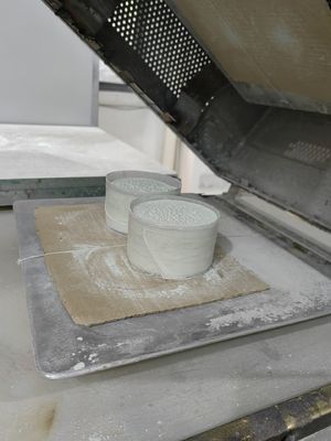 速い治癒のメラミン原料の塩スプレーの抵抗SGSを成形粉