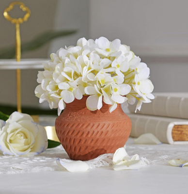 マイクロ波 無害 田舎式 セラミック 瓶 鉛 無害