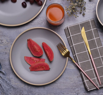 耐熱メラミンのディナープレートセット Gufaith 12個