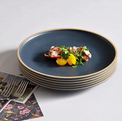 Gufaith 10.5 インチ メラミンのプレート 屋外 壊れ易い BPA 無料