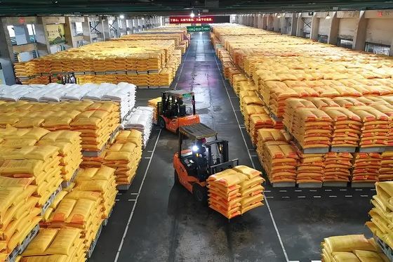 水晶無臭 メラミンの鋳造粉末 プラスチック 保存期限 2年 エジプト工場